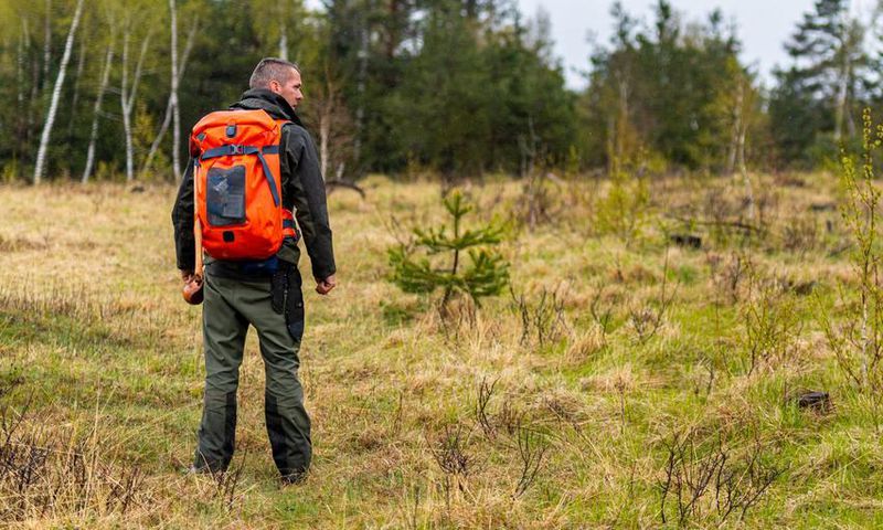 How to Know if You’ve Been Bitten by a Tick