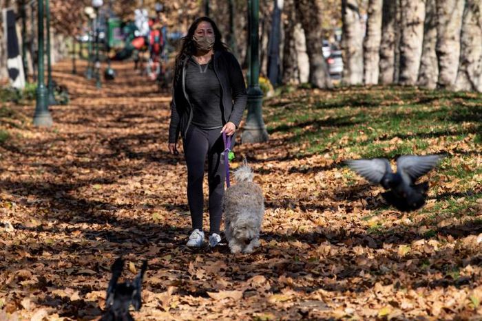 A woman wears a face mask as a preventive measure against the spread of COVID-19 as she walks her dog in Santiago, on June 14, 2020
