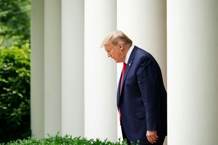 US President Donald Trump has severed ties with the World Health Organization