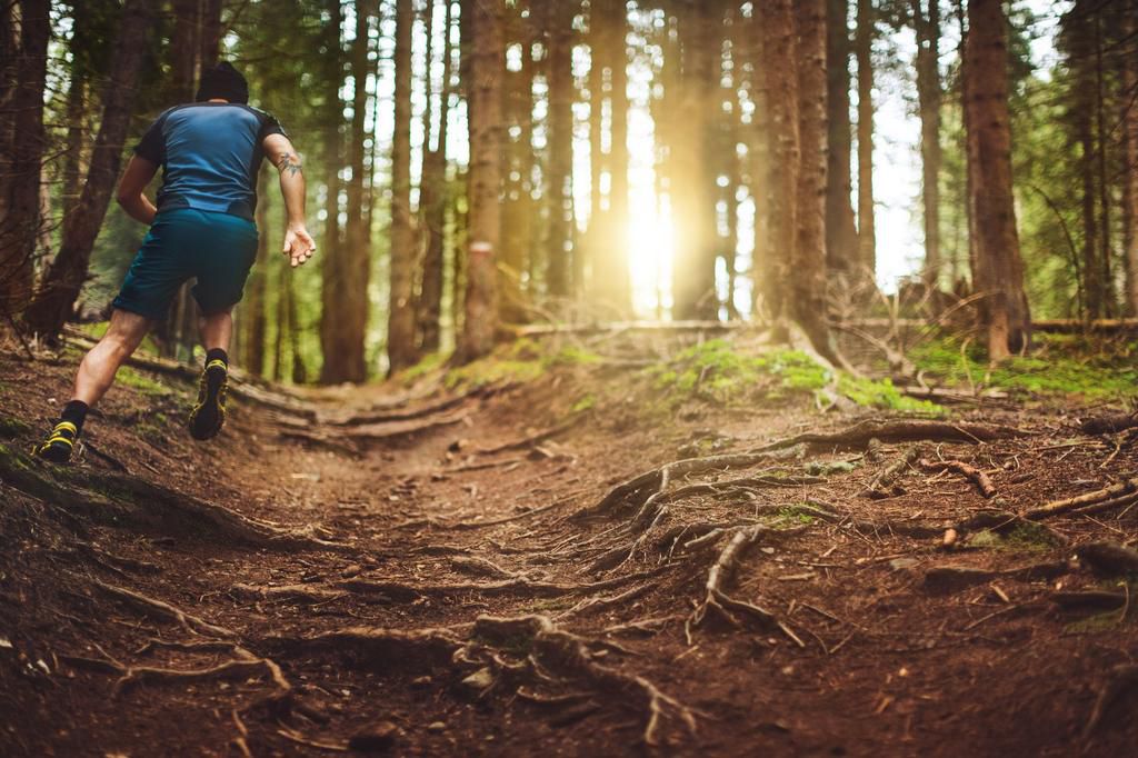 Trail running in the forest