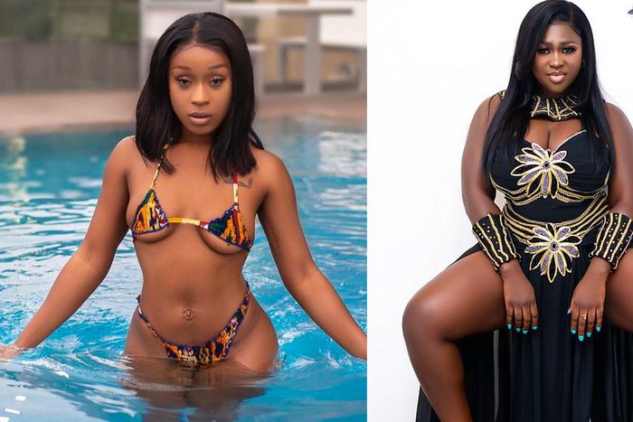 Angry hippo - Efia Odo body-shames Sista Afia in heated Twitter exchange