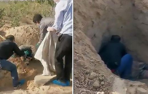 79-year-old disabled woman pulled out alive from grave 3 days after ‘fed up’ son buried her (video)