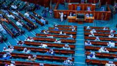 What if a woman rapes a man? - Nigeria’s Senate speaker asks as house rejects castration of rapists