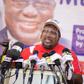 NPP lists 60 youth-focused achievements of Akufo-Addo government