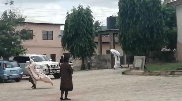 Bees disrupt event; chase away MP, DCE and Chiefs in Koforidua