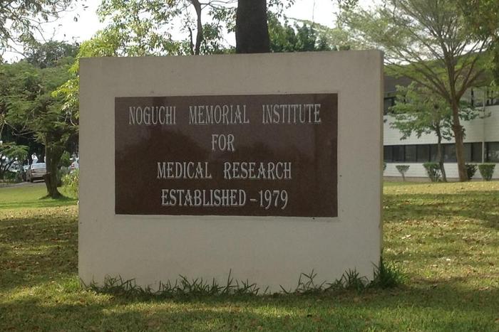 Noguchi begins testing of herbal medicines for COVID-19