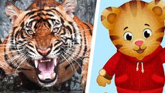 How a Cartoon Helps Me Manage COVID Rage