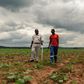 For Zimbabwean farmers like Benard Chinyemba (L), 60, a qualified mechanical engineer who was offered a farm during Zimbabwe's land reform, the programme is a success
