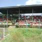 Berekum Golden City Park is in deplorable state (Pictures)