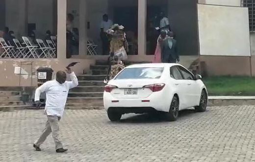 VIDEO: Bees disrupt event; chase away MP, DCE and Chiefs in Koforidua