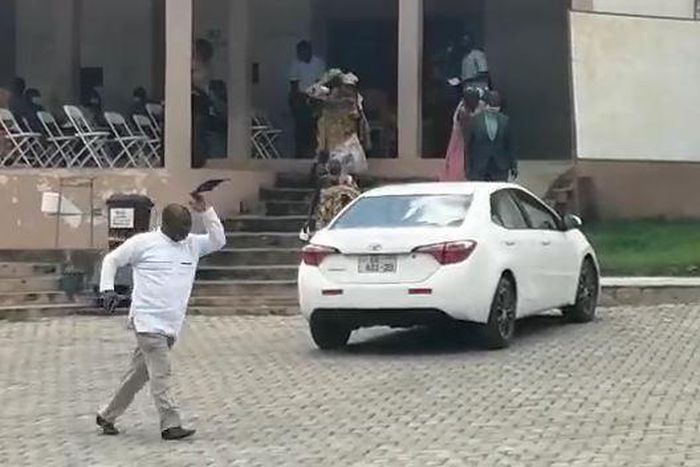 VIDEO: Bees disrupt event; chase away MP, DCE and Chiefs in Koforidua