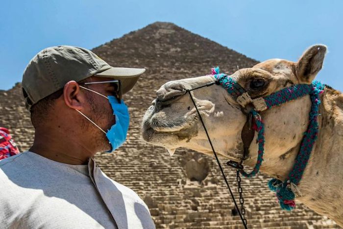 Egypt has re-opened its most iconic tourist site, the pyramids of Giza, in a bid to restart the vital sector despite the coronavirus