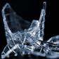 Pieces of broken bottles