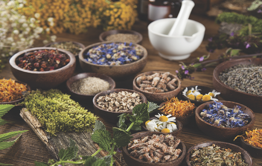 Herbs
