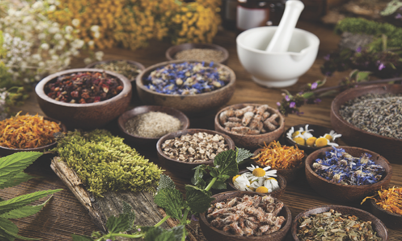 Herbs