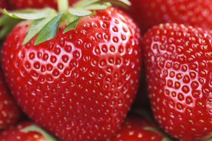 Dr. Pimple Popper Pops Blackheads on a Berry Nose