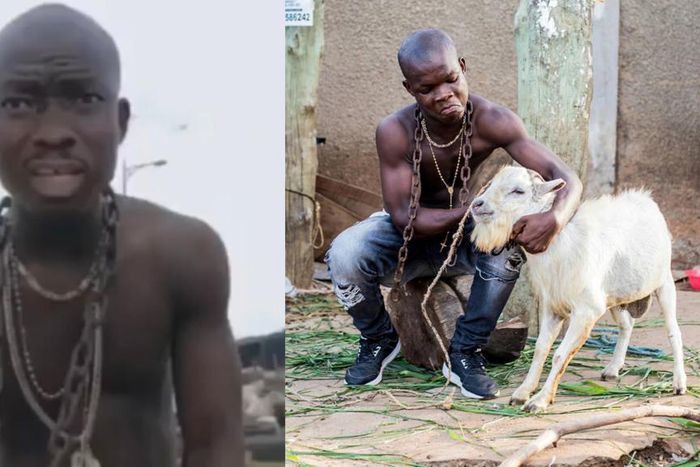 Michael Blackson and AY Poyoo