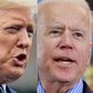 Democrat Joe Biden (R) is likely to face off against Republican Donald Trump in the November 2020 presidential election