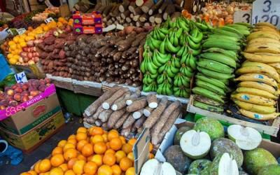 COVID-19: ‘We have enough food; we’re even struggling to manage surplus” – Agric Minister