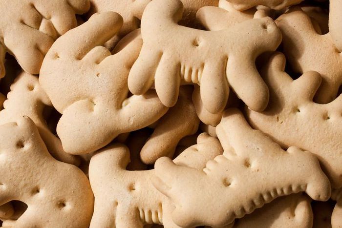 Watch Dr. P Pop 'Animal Cracker' Lipomas