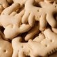 Watch Dr. P Pop 'Animal Cracker' Lipomas