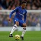 Chelsea winger Callum Hudson-Odoi was arrested and bailed, according to reports.