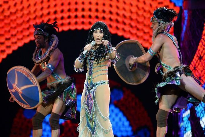 US singer Cher, shown here performing in Las Vegas, Nevada in 2014, has long called for Kaavan's release