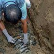 An official takes a sample from the carcass of a male Sumatran tiger found buried at the Batang Gadis national park
