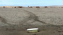 The United States is today more than twice as likely to endure a devastating 'dust bowl' scenario than during the Great Depression