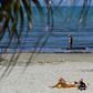 People sunbathe in Durres as Albania reopen beaches after weeks of lockdown