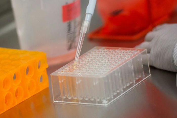 Mmore than 100 vaccine research projects are under way around the world, according to an analysis published Monday