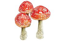 psychedelics drugs treat anxiety