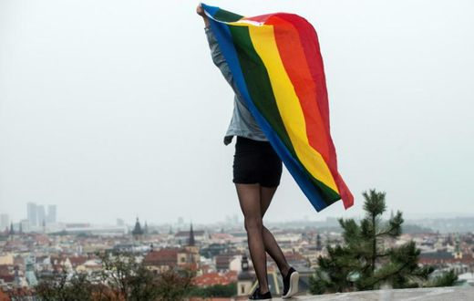Gay 'conversion therapy' can inflict lasting harm, a UN expert says