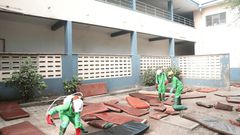 Bed bugs File photo)