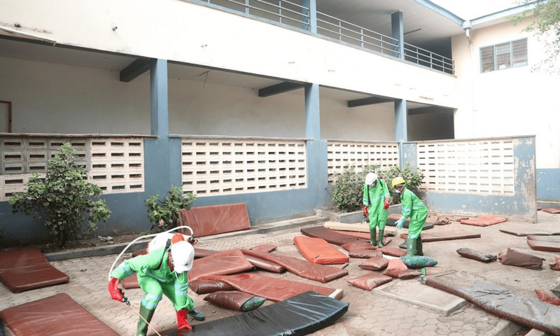 Bed bugs File photo)