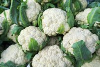 The 11 Best Keto-Friendly Vegetables That Are Low in Carbs and Won't Knock You Out of Ketosis