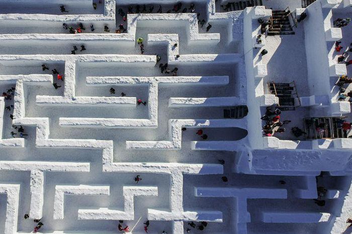 Dr. Pimple Popper Popped So Many Blackheads on IG