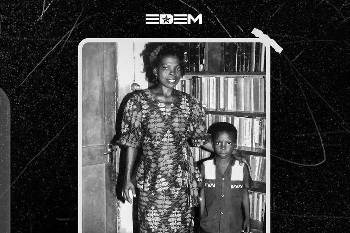 Edem Moog Swings cover artwork