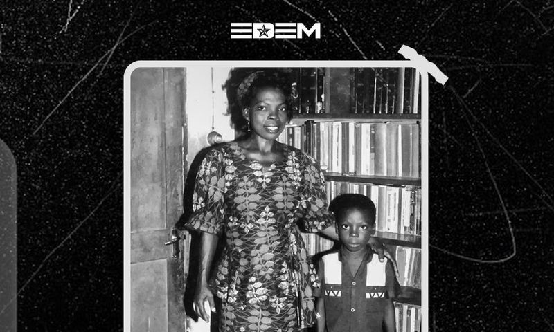 Edem Moog Swings cover artwork