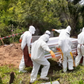 COVID-19 deaths in Ashanti Region could rise – GMA warns