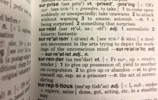 Kennedy Mitchum, a recent graduate of Drake University in Iowa, contacted Merriam-Webster, which has published its dictionaries since 1847, to propose updating the term