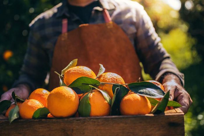 These Are the 11 Best Fruits for Weight Loss