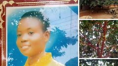 Girl who planted apple tree in Ashanti region is dead; can’t enjoy “the fruit of her labour”