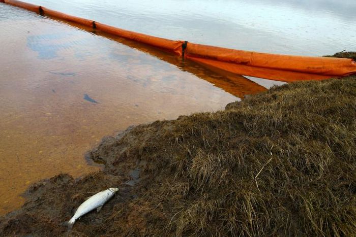 Floating dams have been deployed to try to limit the spread of the fuel