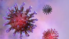 coronavirus