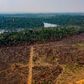 This photo from the state of Mato Grosso shows deforestation in the Amazon basin in the municipality of Colniza on August 29, 2019
