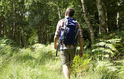 Best Tick Repellent