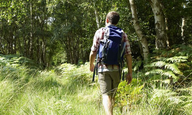 Best Tick Repellent