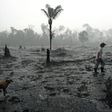 In this file photo taken on August 26, 2019 Brazilian farmer Helio Lombardo Do Santos and a dog walk through a burnt area of the Amazon rainforest, near Porto Velho, Rondonia state, Brazil
