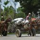 Cuban men wearing face masks transport food on their carts in the town of Bahia Honda - the country's economy is suffering due to the coronavirus crisis